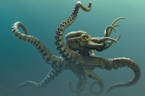 Kraken зеркало krakens13 at