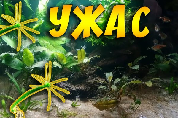 Kraken зеркала gigageek ru